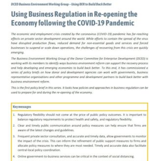 BER and COVID policy brief 1 BER and COVID policy brief 1