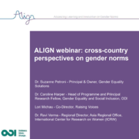 Cross-country perspectives on gender norms