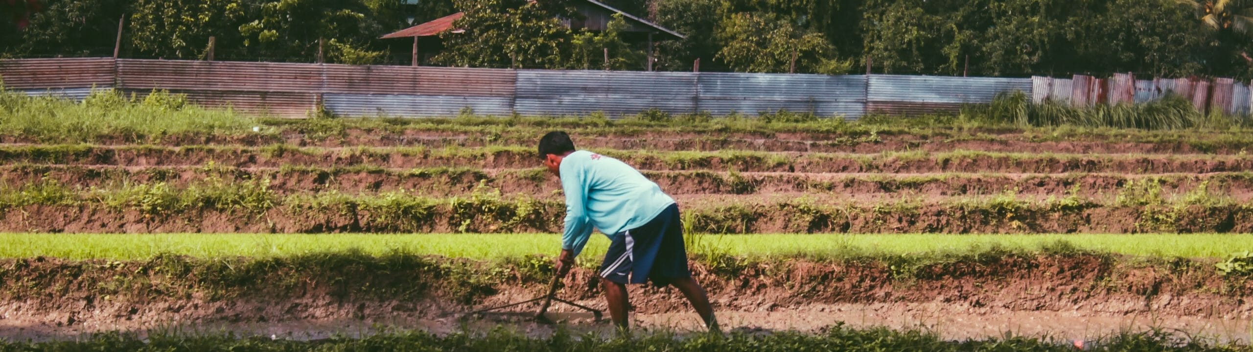 Farmer