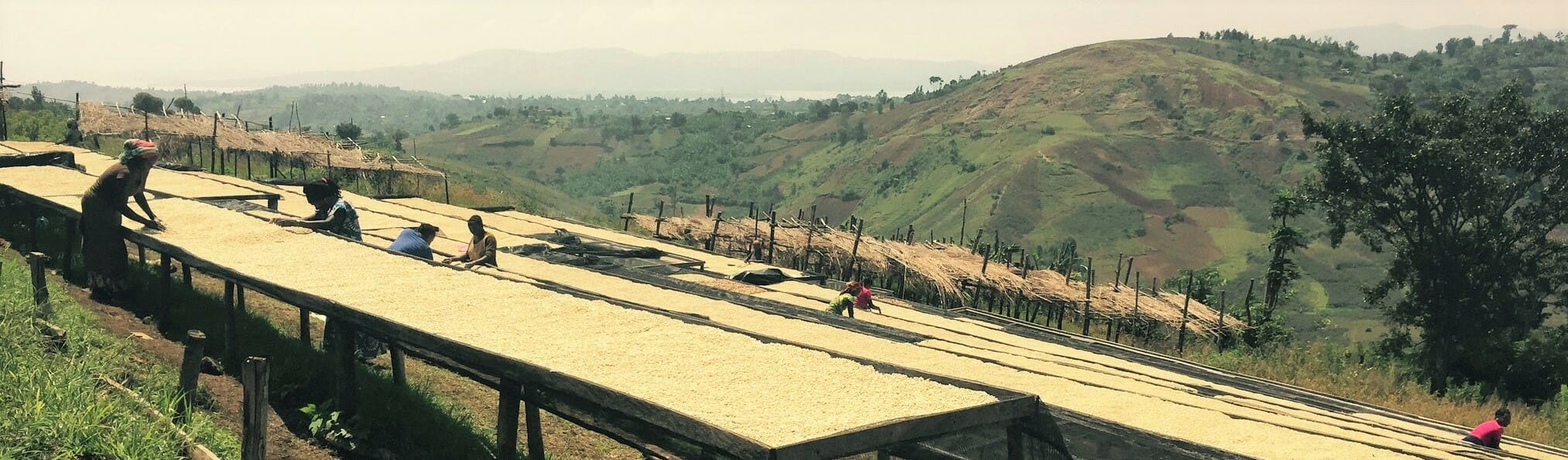 South Kivu coffee project Joseph King flickr (2)