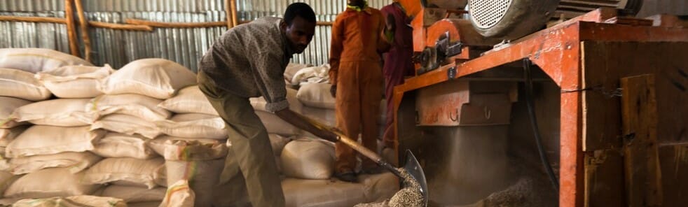 USAID-Ethiopia-flickr-PSE-5