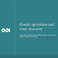 Women water and farming